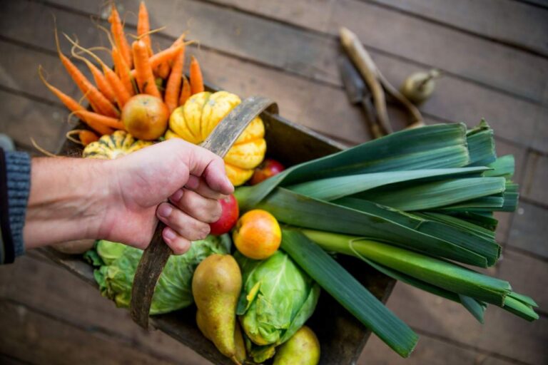 Comprar frutas y verduras directamente al agricultor